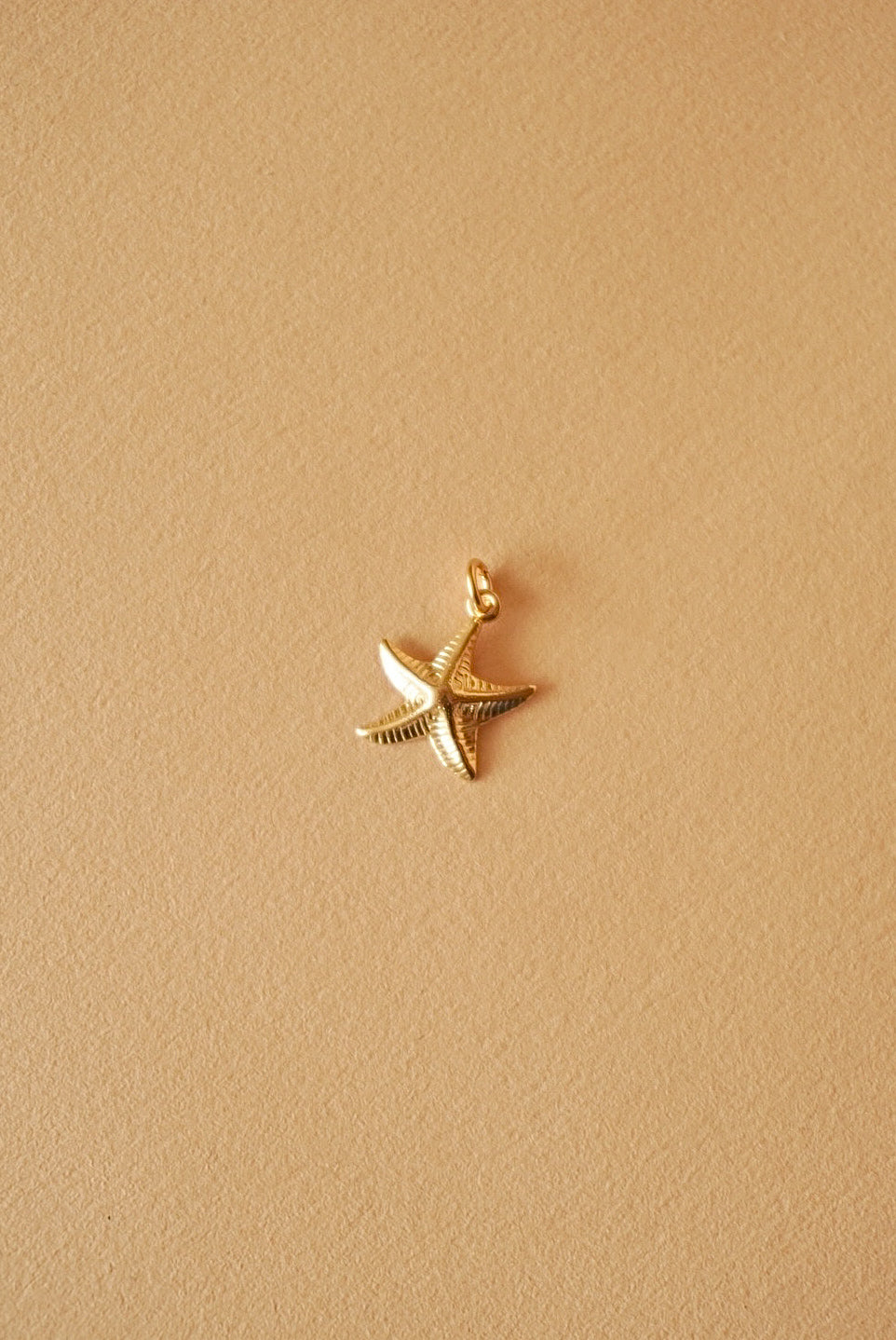 Starfish - Anhänger aus Gold Filled