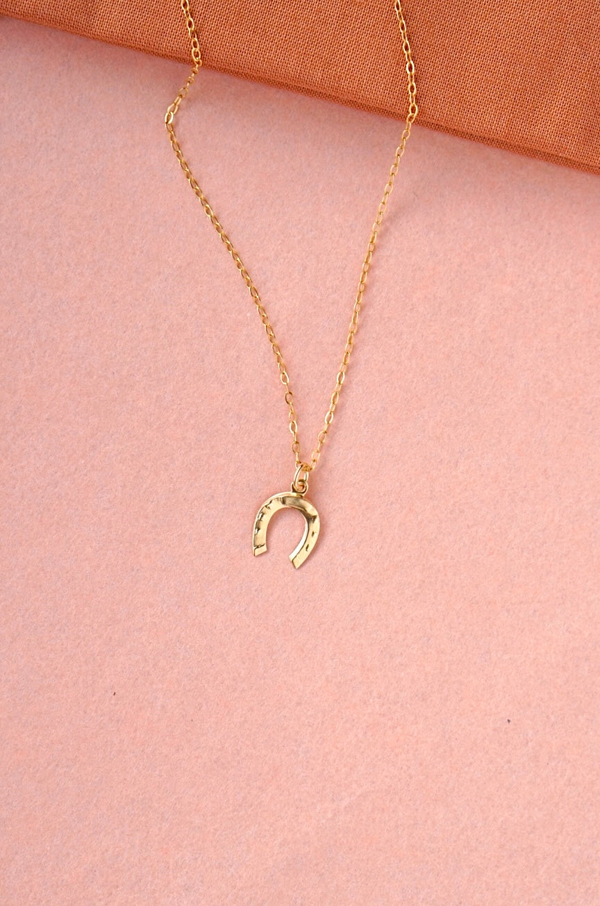 Fine necklace with pendant - Lucky Horseshoe (Winter edition)
