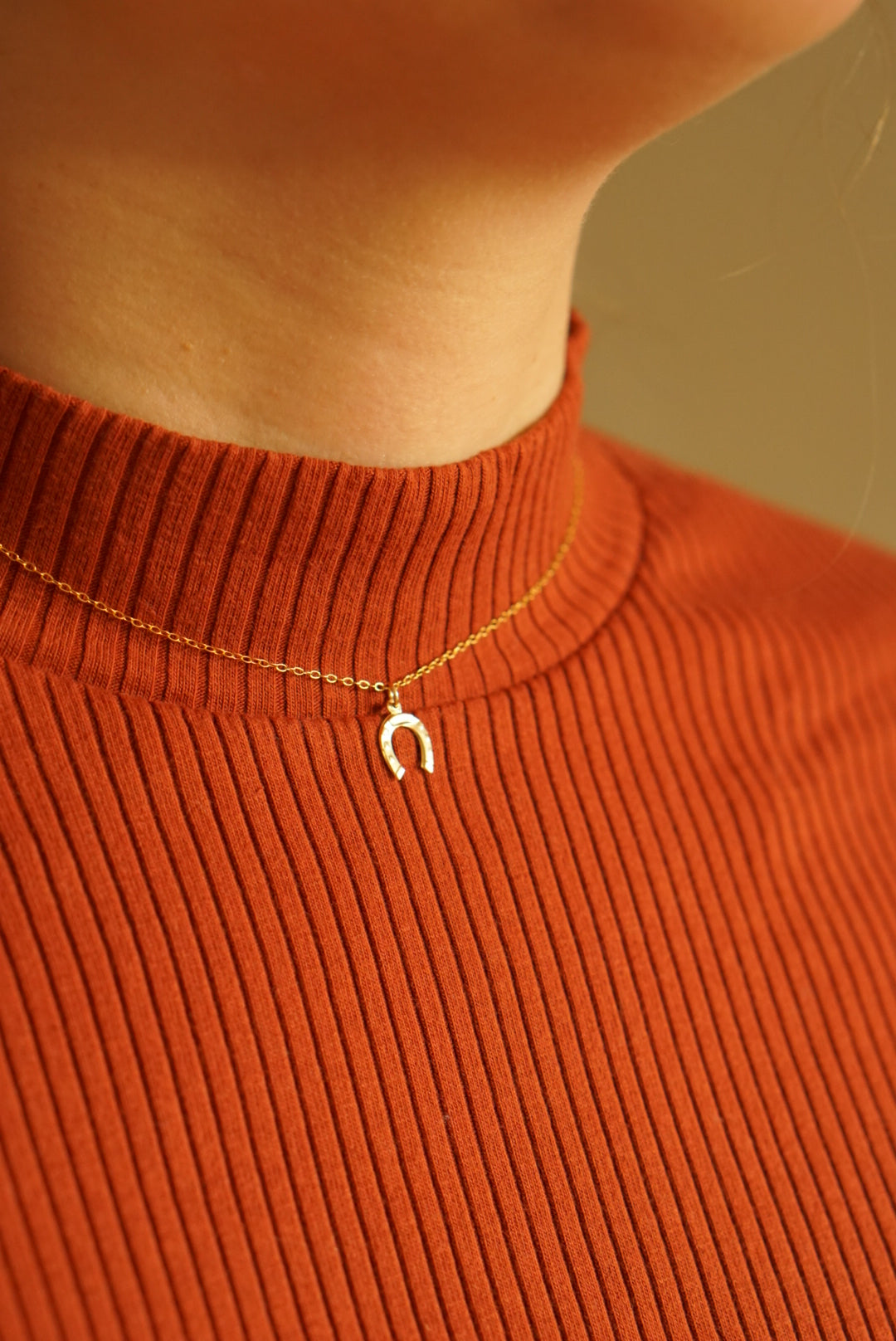 Fine necklace with pendant - Lucky Horseshoe (Winter edition)